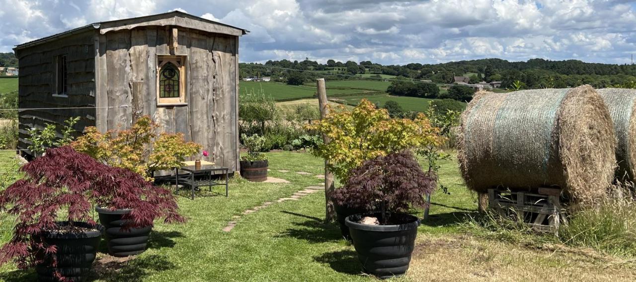 Luxury Shepherd'S Hut Style Cabin With Views Villa Hereford Kültér fotó